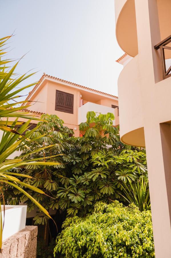 Precioso Apartamento San Miguel de Abona Extérieur photo